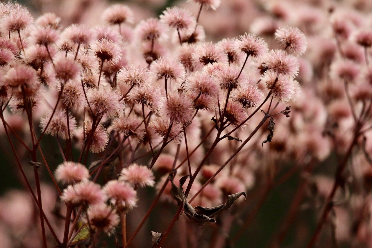 详情下载教程优步app详情下载教程