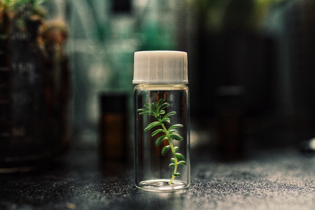 提速啦实名账号：广西名人书画交易平台代理