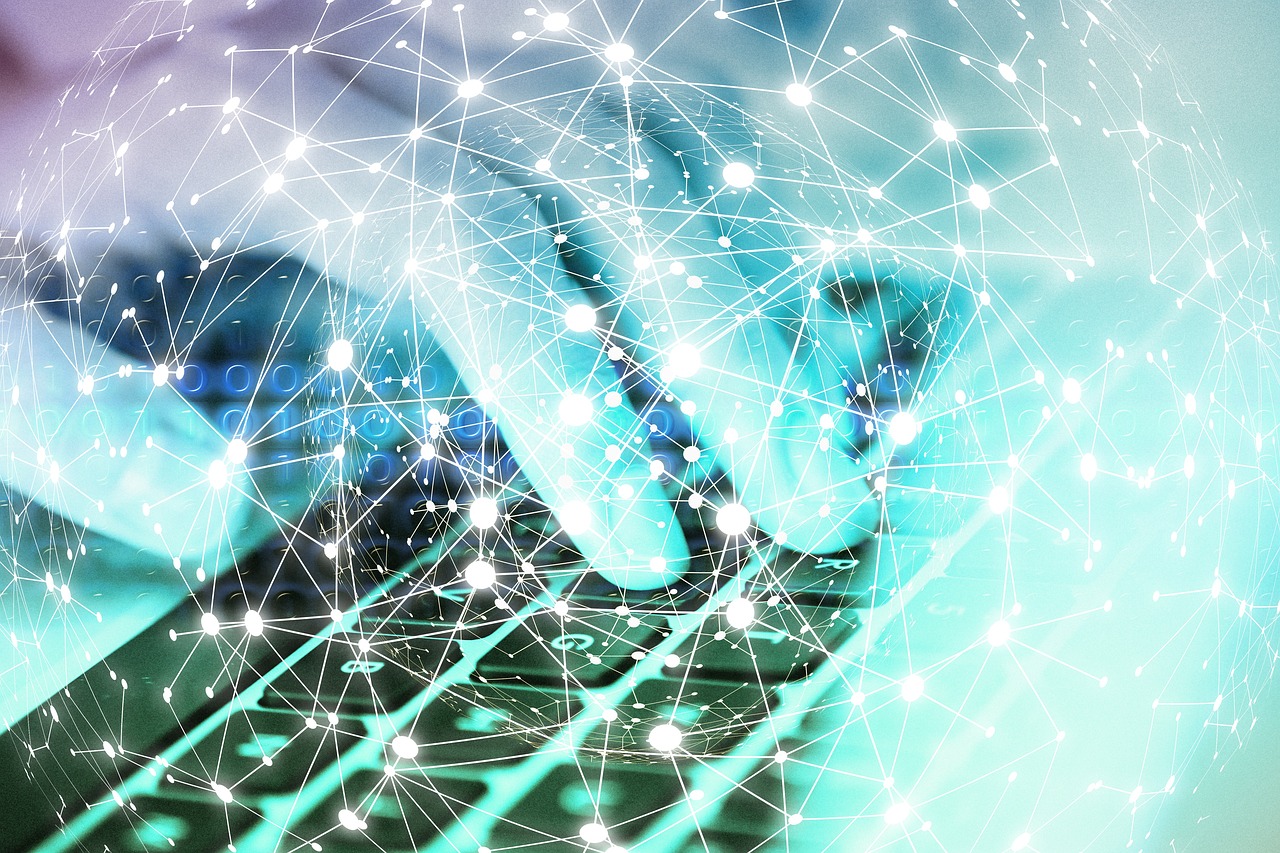 贝纳查比华士 Brevas（12支）：韶关市域名注册代理服务