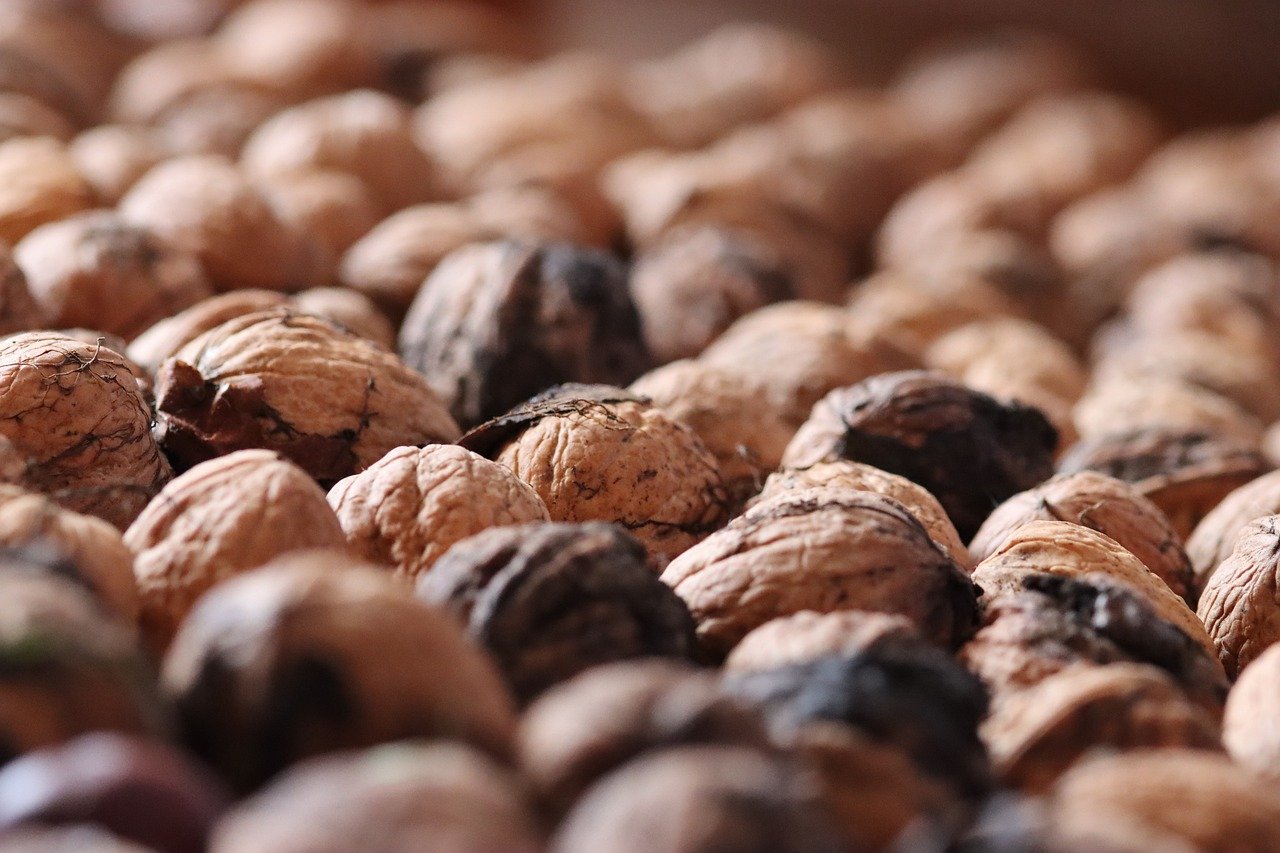 欧亚云实名账号：热门营销代理加盟网络平台