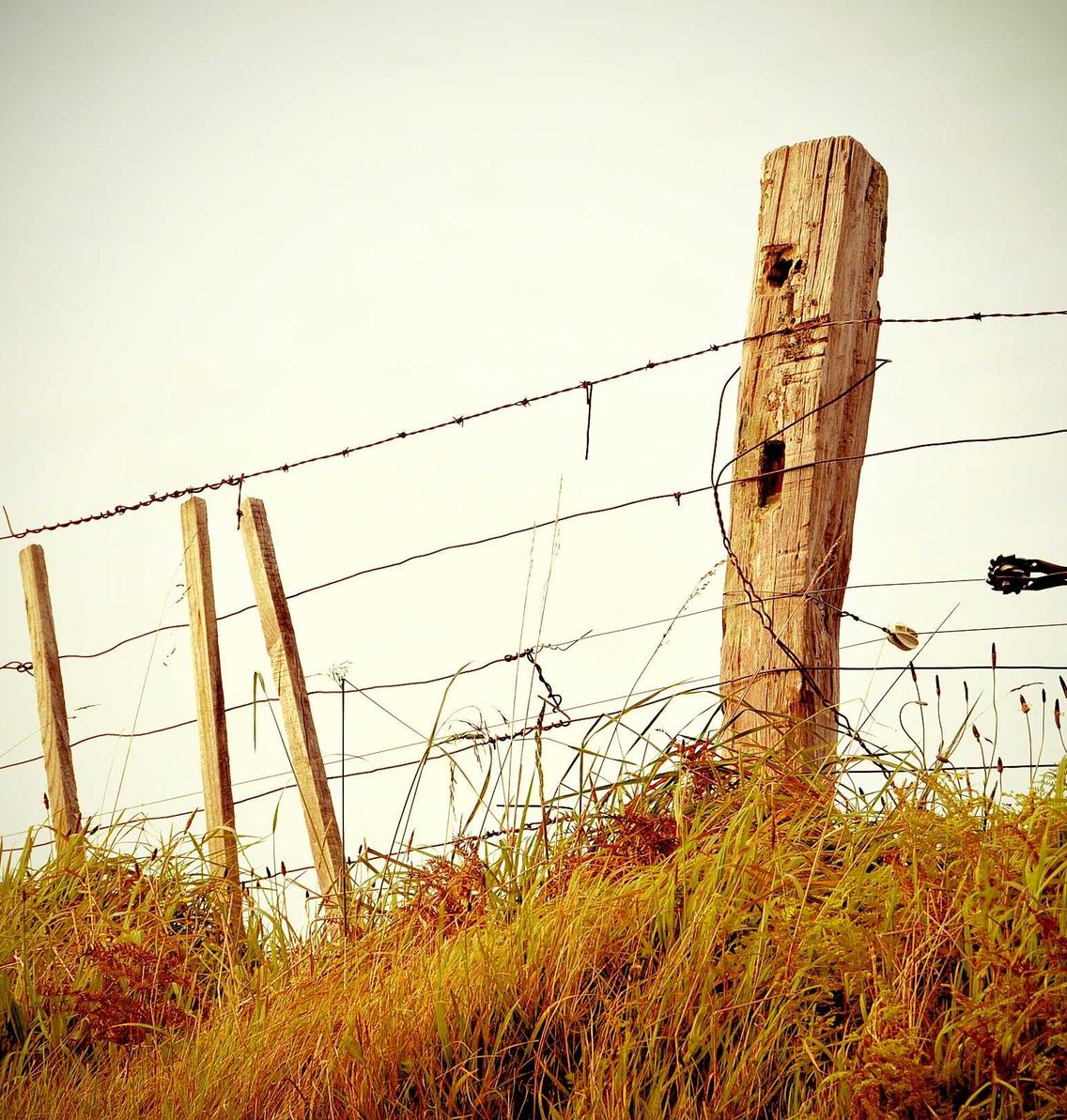 天地代理专业注册公司流程