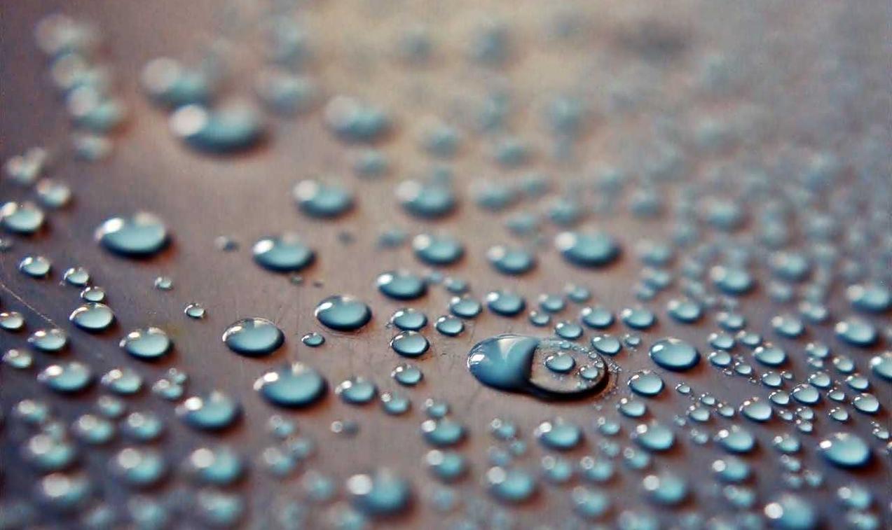 http攻击|莫愁花app官方详情下载教程