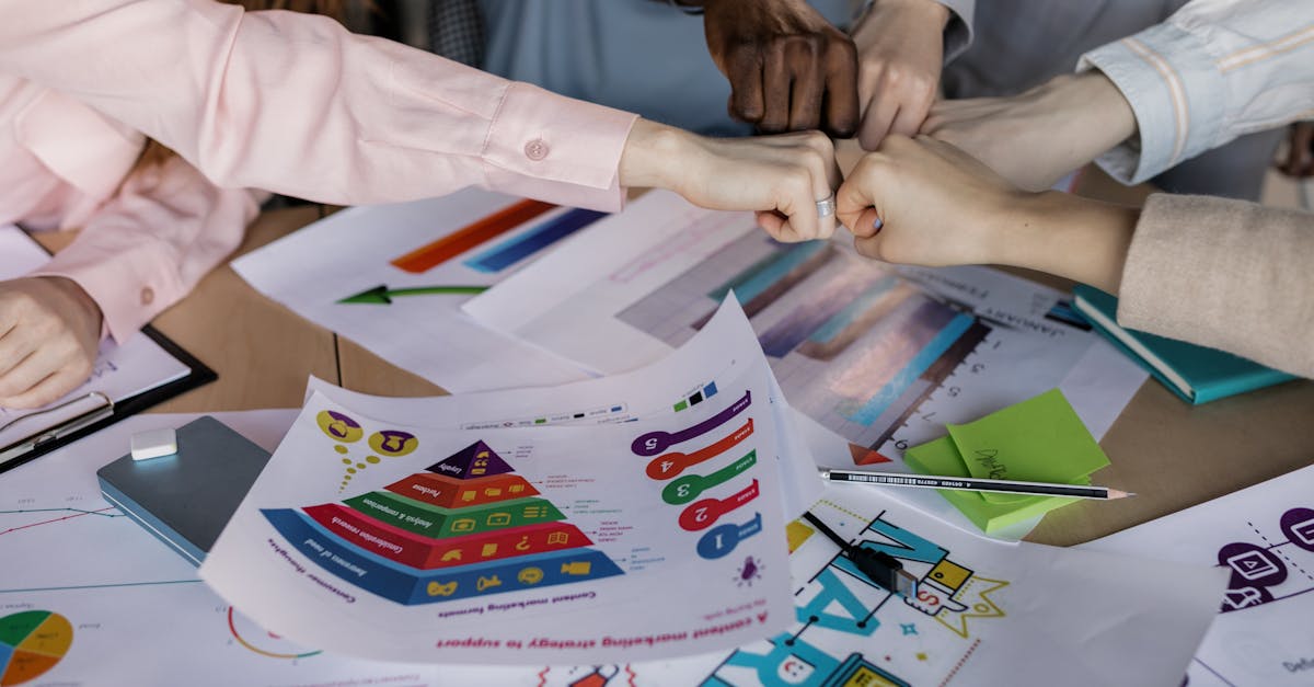 海豚之星详情下载教程企鹅app