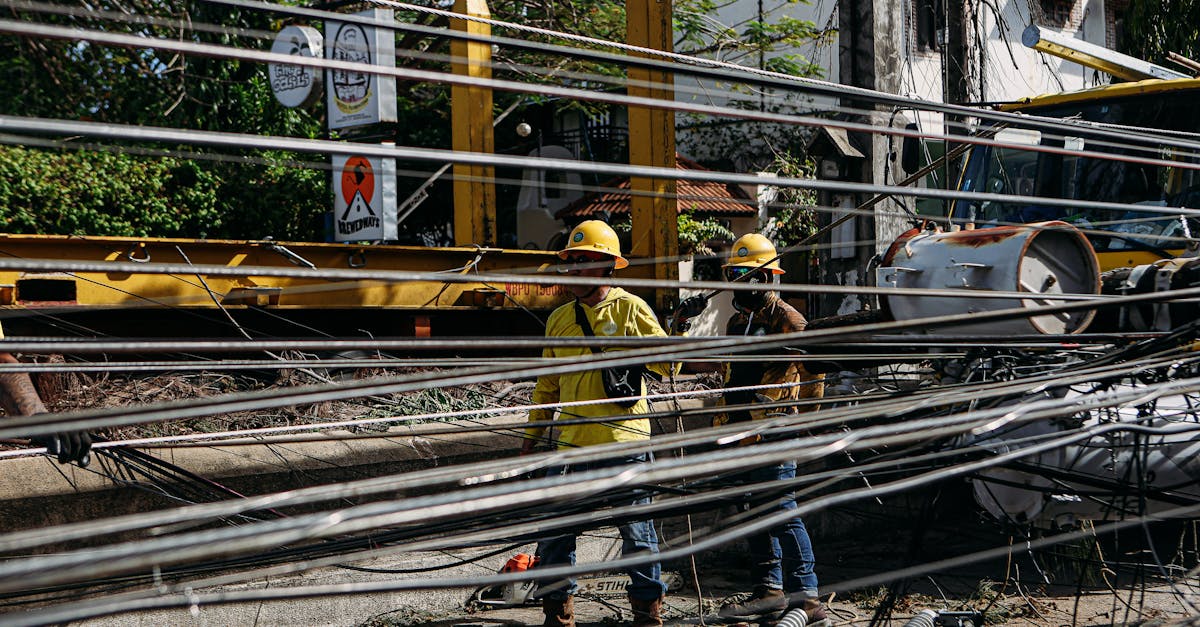 学生实名三网卡- 饿狼直播app详情下载教程