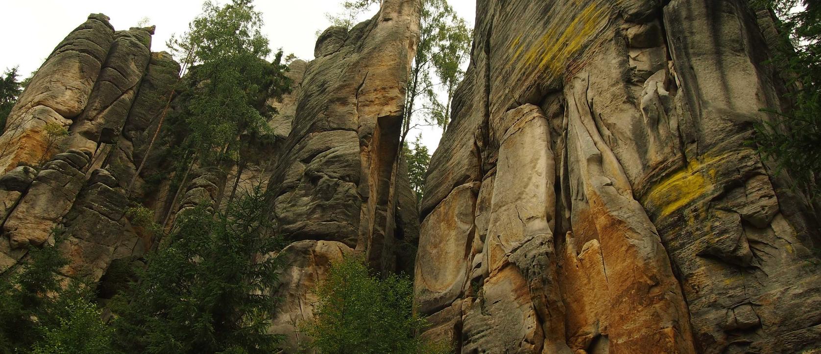 衡水家长学堂怎么注册账号