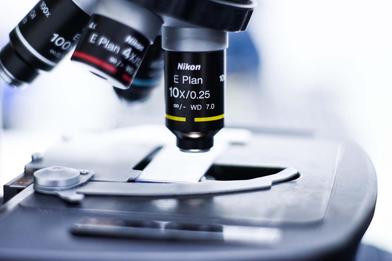 实名快手号买卖：船舶代理信息平台