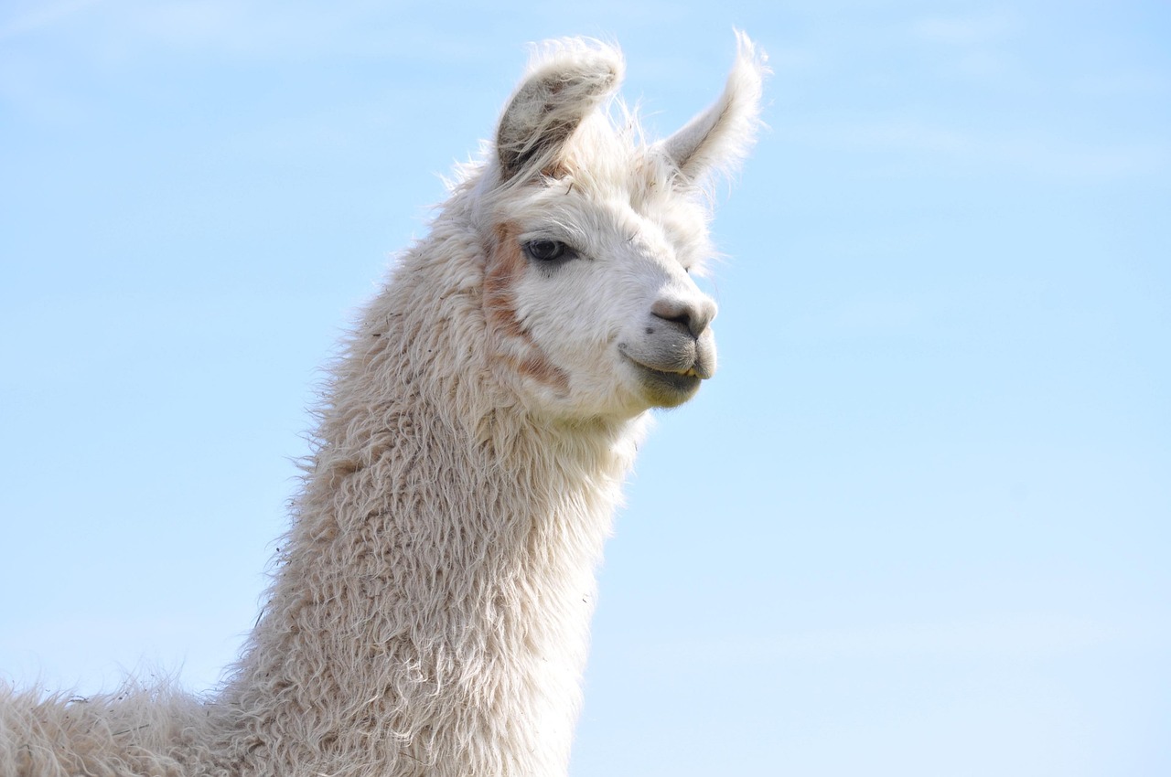 天运《利用内容营销提高企业的搜索引擎排名》